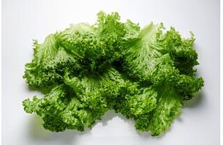 LOLLO BIONDA BLÄTTER, 250G / BTL 